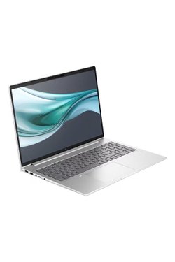HP EliteBook 660 G11 9C075EA Ultra 5 125U 16 GB 512 GB SSD Intel Graphics 16&quot; WUXGA Notebook